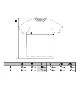 KOSZULKA MĘSKA T-SHIRT BAWEŁNIANY MORAJ L 3-PAK