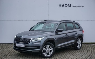 Skoda Kodiaq I SUV 1.5 TSI ACT 150KM 2019 Skoda Kodiaq 1.5TSI 150KM 4x4 DSG Business Nawigacja Kamera Bluetooth Lamp, zdjęcie 2