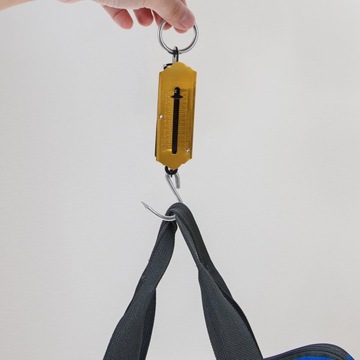 ПРУЖИННЫЕ ВЕСЫ ПОДВЕСНЫЕ ВЕСЫ ВЕСЫ ДЛЯ МАЛЕНЬКИХ РЫБОК