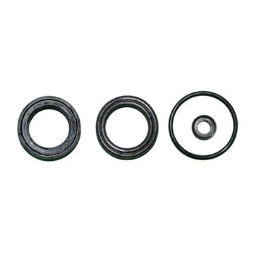 Zestaw naprawczy CAT 3CP DN18 uszczelnienia pompy KIT 33983