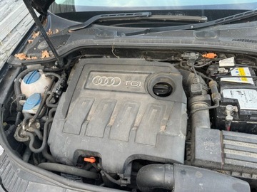 AUDI A3 8P FACELIFT GOLF VI OCTAVIA II 1.6 TDI SKŘÍŇ MANUÁLNÍ 5 ŘAZENÍ NEBO