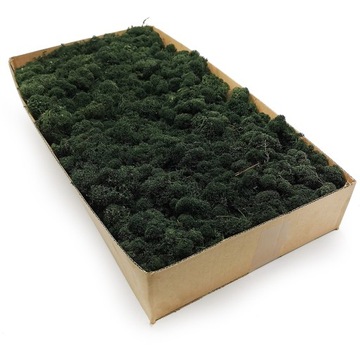 Mech chrobotek fiński 500g