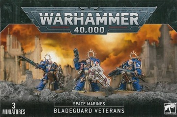 Space Marines Bladeguard Veterans