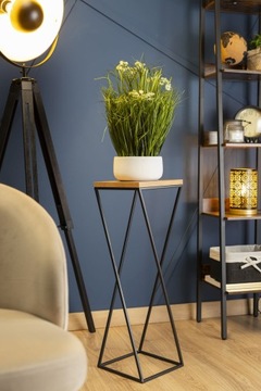 ПОДСТАВКА ДЛЯ ЦВЕТОВ СТОЯЩАЯ, 70 СМ, ДЛЯ РАСТЕНИЙ