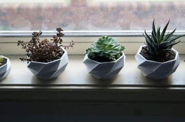 Белый вазон для цветка Кактуса в подарок ДОМОЙ