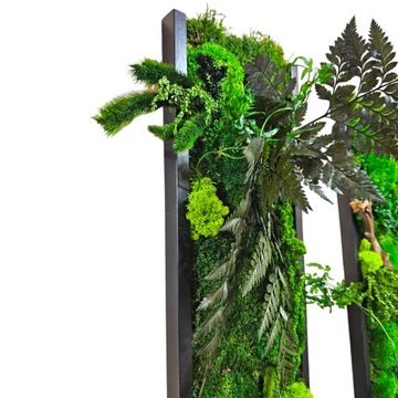Панно из живого мха, джунгли, 3D стена из мха, нестандартный размер, выбор рамы 130 x 20 см.