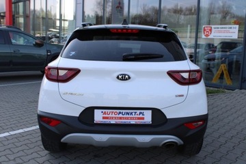 Kia Stonic Crossover 1.0 T-GDI 120KM 2019 KIA Stonic BLACK EDITION, zdjęcie 4