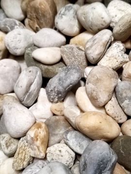 Галька Японская садовая медовая река бежевое золото 1-3 см 24 кг