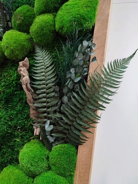 Картина в дубовой раме со мхом и растениями, 80х50 см.