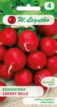 RZODKIEWKA OKRĄGŁA CHERRY BELLE DUŻA ŁAGODNY SMAK NASIONA 5g LEGUTKO