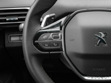 Peugeot 3008 II Crossover 1.6 THP 180KM 2020 Peugeot 3008 WD2381U#1.6 PureTech GT EAT8, zdjęcie 12