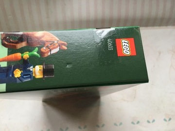 LEGO 40603 Зимняя поездка в карете