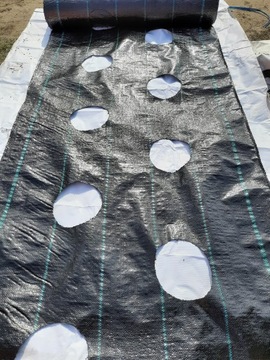 Ткань Агрот, большие ОТВЕРСТИЯ, 20 см, для рассады 1,1х50.