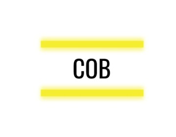 Цифровая светодиодная лента NEUTRAL COB, 1 м, 12 Вт, 24 В, WS2811, ВОДОНЕПРОНИЦАЕМАЯ IP68