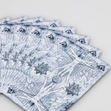 Игральные карты Леонардо MMXVIII да Винчи, серебро