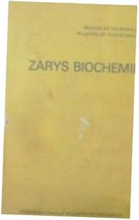 Zarys biochemii - Filipowicz