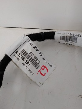 EXPERT III PROACE JUMPY SVAZEK INSTALACE DVEŘE PRAVÁ PŘEDNÍ 9812433180