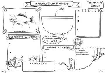 Природа. Графические рабочие листы для 4 класса.