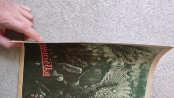 Друг 42 1959 г.