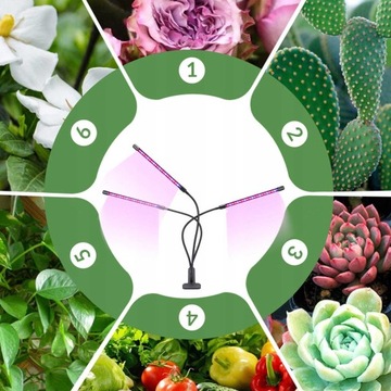 4х ПАНЕЛЬНЫЕ ЛАМПЫ ДЛЯ ВЫРАЩИВАНИЯ РАСТЕНИЙ ТАЙМЕР ПОЛНОГО СПЕКТРА USB 36 Вт 80 светодиодов