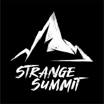 STFU Bike Stay Guard odbój łańcucha