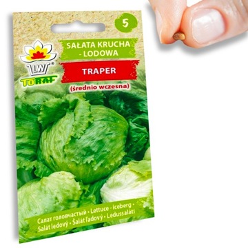 Nasiona warzyw SAŁATA LODOWA Traper śrd. Wczesna