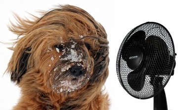 WENTYLATOR BIURKOWY WIATRAK STOJĄCY CICHY MOCNY DUŻA ŚREDNICA ŚMIGŁA 29cm