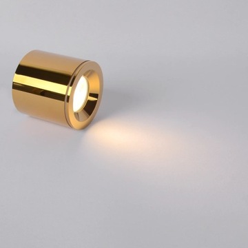 TUBA SPOT OPRAWA NATYNKOWA ŁAZIENKOWA IP65 1xGU10 Luna złota CL0103-GD