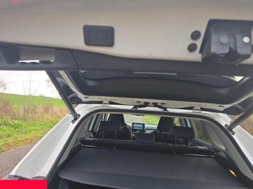 Toyota RAV4 V SUV 2.5 Hybrid Dynamic Force 218KM 2020 Toyota RAV4 2.5 Hybrid Comfort 4x2 218KM 2024r, zdjęcie 18