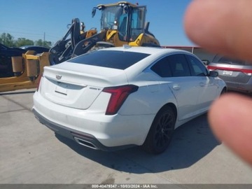 Cadillac 2024 Cadillac Inny CT5 Luxury 2024 2.0l 2.0 Benzyna 237KM, zdjęcie 2