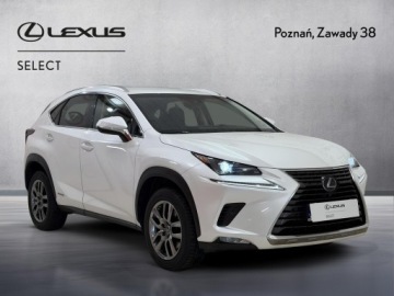 Lexus NX I SUV 300h 197KM 2017 Lexus NX 300h Comfort AWD I (2014-2021) Lexus NX 3, zdjęcie 7