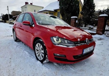 Volkswagen Golf VII Hatchback 3d 1.4 TSI BlueMotion Technology 125KM 2015 Volkswagen Golf Volkswagen Golf 1.4 TSI (BlueMotion Technology) DSG Highli, zdjęcie 6