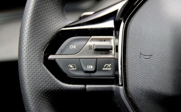 Peugeot 2024 Peugeot 308 1.2 mHEV GT SS e-DCS6 136KM SalonPL Gwarncja od RiA 1.2, zdjęcie 29