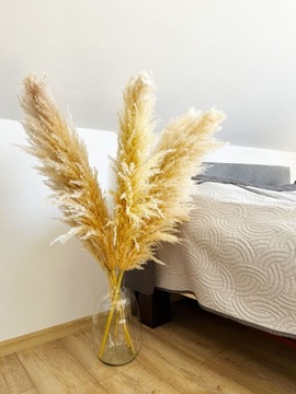 СТЕКЛЯННАЯ БУТЫЛКА-ВАЗА ДЛЯ ПАМПАССНЫХ ЦВЕТОВ