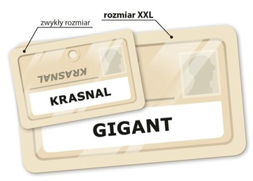 СЕКРЕТЫ Кодовые названия Семейная карточная игра REBEL