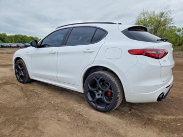 Alfa Romeo Stelvio SUV Facelifting 2.0 Turbo 280KM 2022 Alfa Romeo Stelvio Ti 2022 2.0 Benzyna 280KM, zdjęcie 1