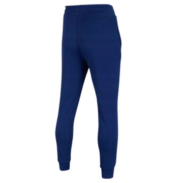 МУЖСКИЕ СПОРТИВНЫЕ БРЮКИ 4F, СПОРТИВНЫЕ БРЮКИ, СПОРТИВНЫЕ БРЮКИ