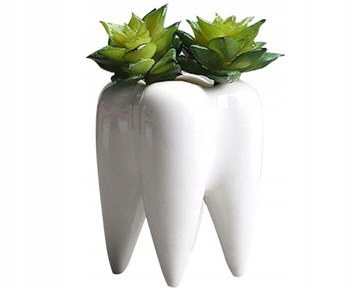 DONICZKA ZĄB dla STOMATOLOGA DENTYSTY Prezent