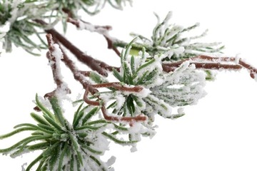 ЕЛЕВАЯ ВЕТКА ЗА СНЕГОМ СВЯТОЕ УКРАШЕНИЕ 42СМ