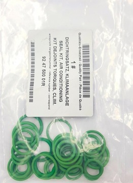 ZESTAW USZCZELEK KLIMATYZACJI RENAULT