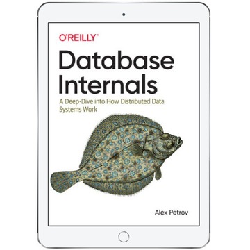 Database Internals. A Deep Dive into How