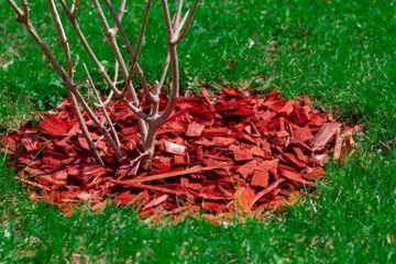 ДЕКОРАТИВНЫЕ ЧИПСЫ COLORUL BARK 50л Red CHIP