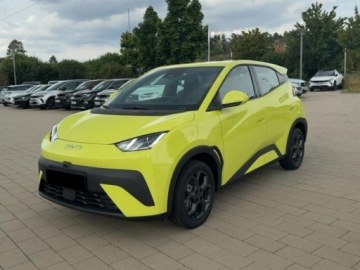 BYD 2025 BYD Dolphin Surf Boost Hatchback (88 KM) 2025, zdjęcie 1