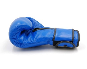 ПРОФЕССИОНАЛЬНЫЕ БОКСЕРСКИЕ ПЕРЧАТКИ EVOLUTION PRO 10