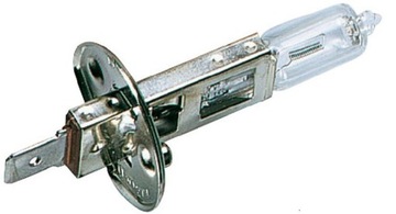 Żarówka halogenowa H1 12V 55W Hoalte Halogen