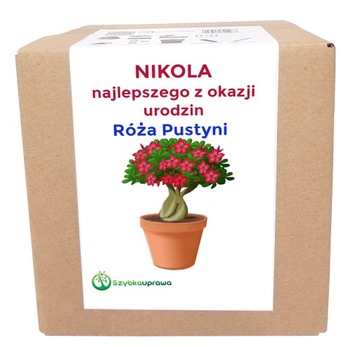Ekologiczny prezent zestaw róża urodziny NIKOLA