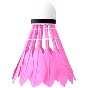 Ракетки 4шт. Ракетки Воланы 11шт. Набор для бадминтона Бадминтон