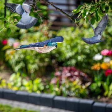 ОТПУСКАТЕЛЬ ПТИЦ, ГОЛУБИ, СКВОРЕЦ, ЛЕТАЮЩИЙ КЕСТЕЛЬ