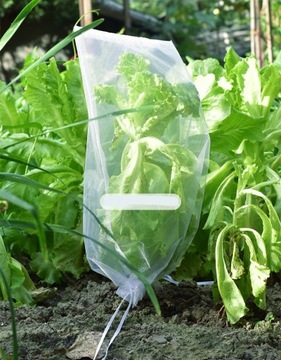 СУМКИ-ЧЕХЛЫ ДЛЯ ФРУКТОВ, ОВОЩЕЙ, ВРЕДИТЕЛЕЙ 100 шт.