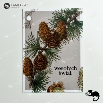 Рождественский ПОДАРОЧНЫЙ БИЛЕТ Рождественская открытка СОСНА И ШИШКИ 7x10 x1